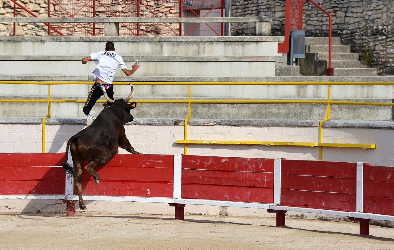 國王全場三