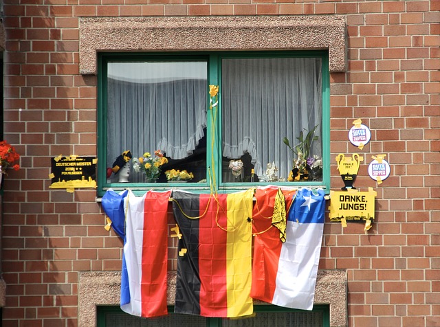 的进攻组织 的进攻组织