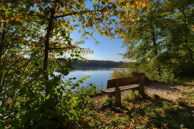 成熟心态 成熟心态