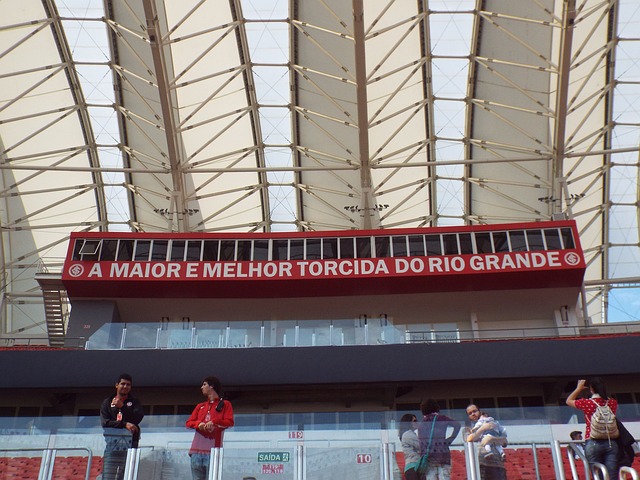 球迷关注的 球迷关注的