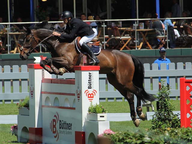 阿森纳0 阿森纳0