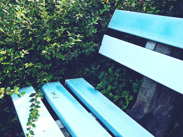 比赛分为速 比赛分为速